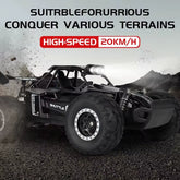 Remote Control Car RC Drift Racing 1:16 Vehicle off Road Alloy 2.4G Radio High-Speed Trucks with LED Light Climbing Gift Kid Toy